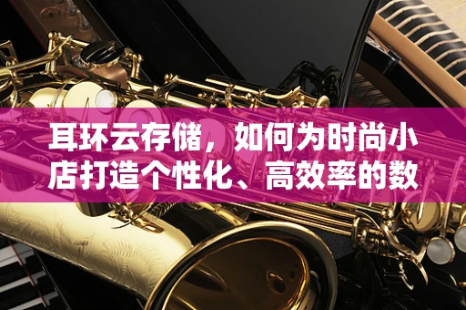 耳环云存储，如何为时尚小店打造个性化、高效率的数字资产管理？