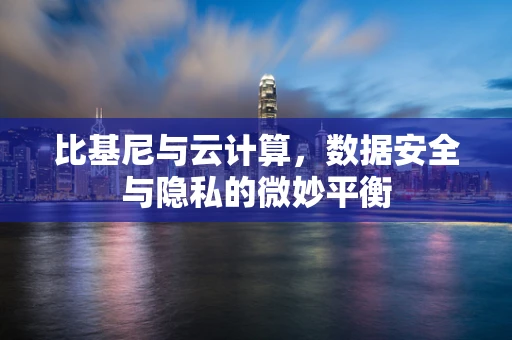 比基尼与云计算，数据安全与隐私的微妙平衡