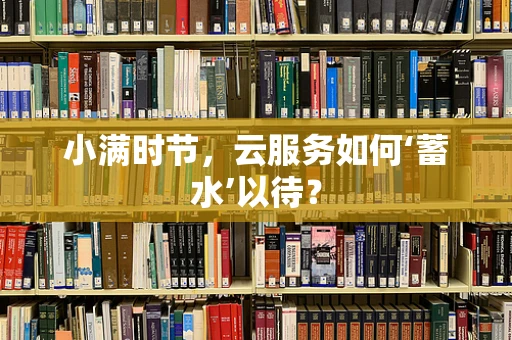 小满时节，云服务如何‘蓄水’以待？