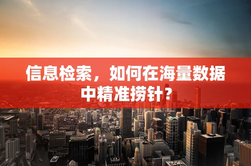 信息检索，如何在海量数据中精准捞针？