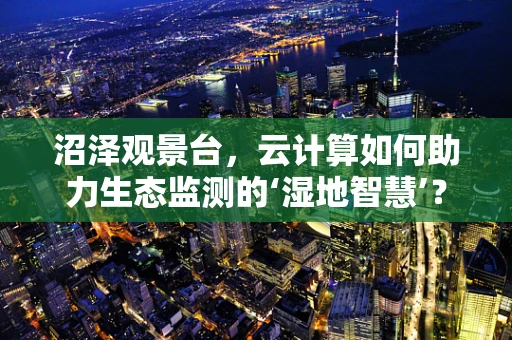 沼泽观景台，云计算如何助力生态监测的‘湿地智慧’？