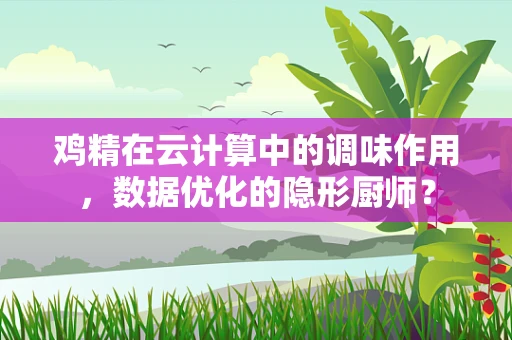 鸡精在云计算中的调味作用，数据优化的隐形厨师？