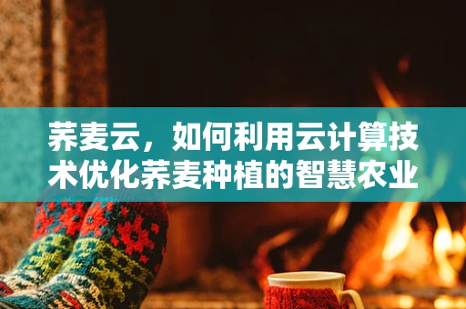 荞麦云，如何利用云计算技术优化荞麦种植的智慧农业新篇章？