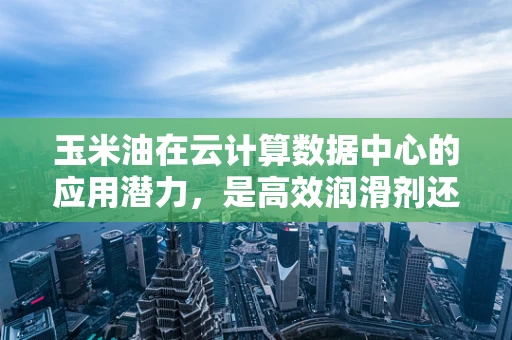 玉米油在云计算数据中心的应用潜力，是高效润滑剂还是绿色能源新星？