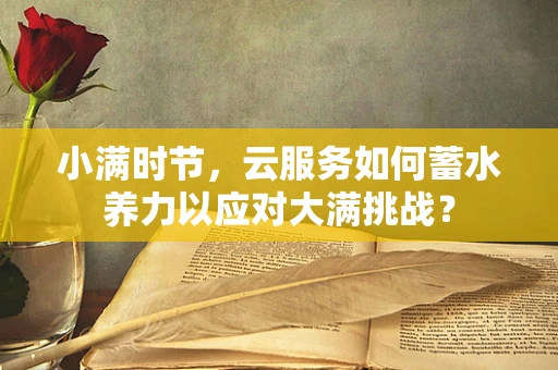 小满时节，云服务如何蓄水养力以应对大满挑战？
