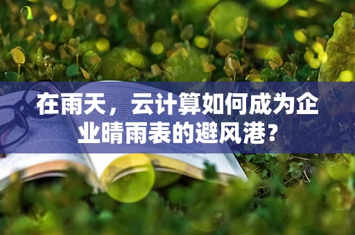 在雨天，云计算如何成为企业晴雨表的避风港？