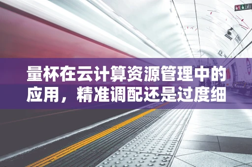 量杯在云计算资源管理中的应用，精准调配还是过度细化？