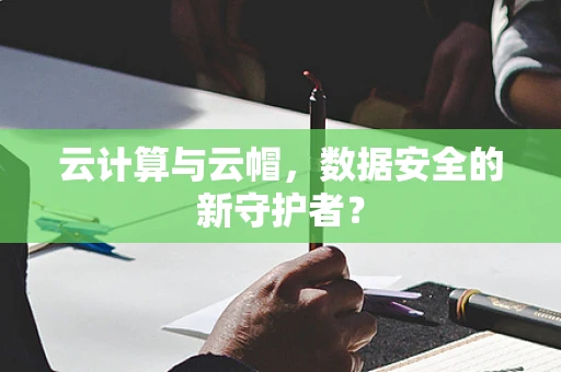 云计算与云帽，数据安全的新守护者？