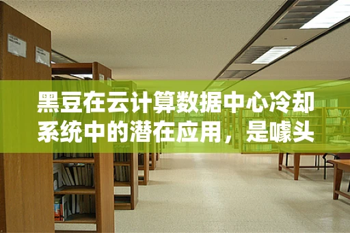 黑豆在云计算数据中心冷却系统中的潜在应用，是噱头还是真金？