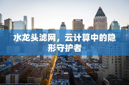 水龙头滤网，云计算中的隐形守护者