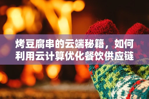 烤豆腐串的云端秘籍，如何利用云计算优化餐饮供应链？