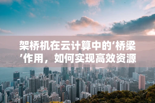 架桥机在云计算中的‘桥梁’作用，如何实现高效资源调度与协同？