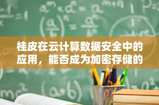 桂皮在云计算数据安全中的应用，能否成为加密存储的天然‘密钥’？
