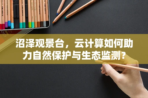 沼泽观景台，云计算如何助力自然保护与生态监测？