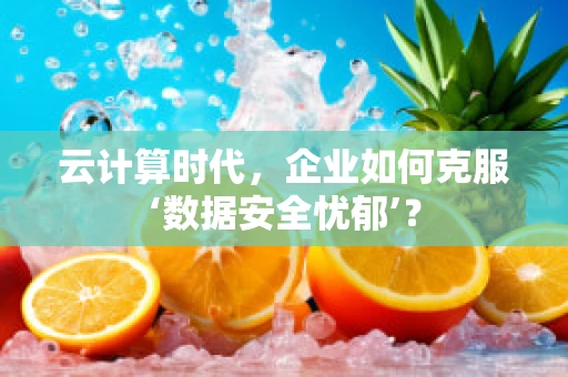 云计算时代，企业如何克服‘数据安全忧郁’？