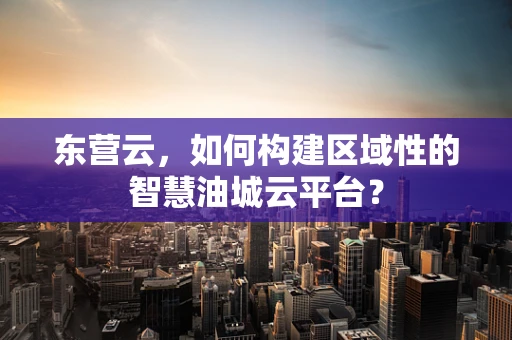 东营云，如何构建区域性的智慧油城云平台？