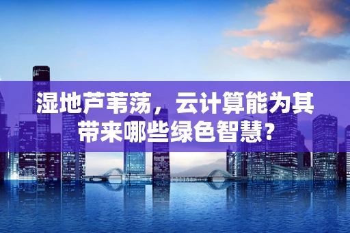 湿地芦苇荡，云计算能为其带来哪些绿色智慧？