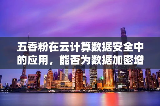 五香粉在云计算数据安全中的应用，能否为数据加密增添一抹‘香’？