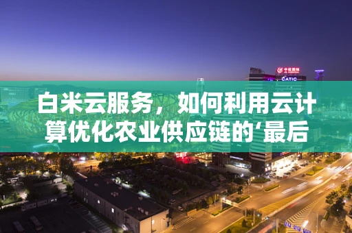 白米云服务，如何利用云计算优化农业供应链的‘最后一公里’？