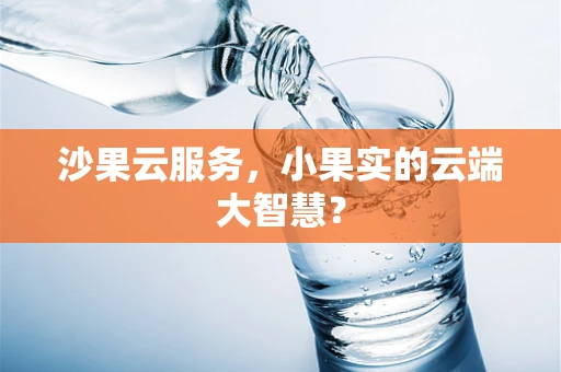 沙果云服务，小果实的云端大智慧？
