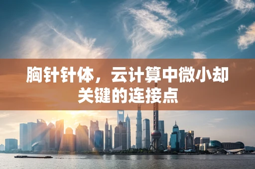 胸针针体，云计算中微小却关键的连接点