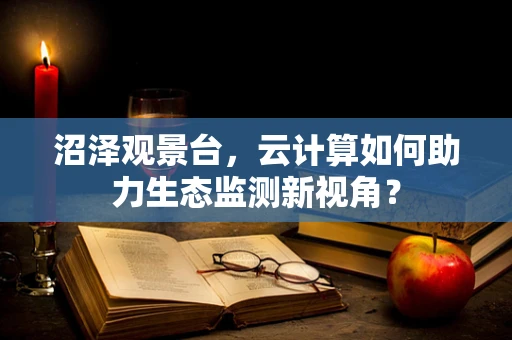沼泽观景台，云计算如何助力生态监测新视角？