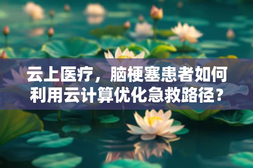 云上医疗，脑梗塞患者如何利用云计算优化急救路径？