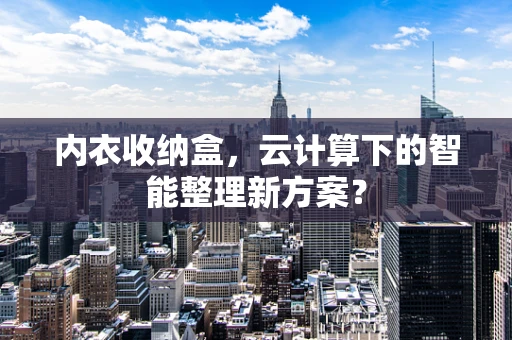 内衣收纳盒，云计算下的智能整理新方案？