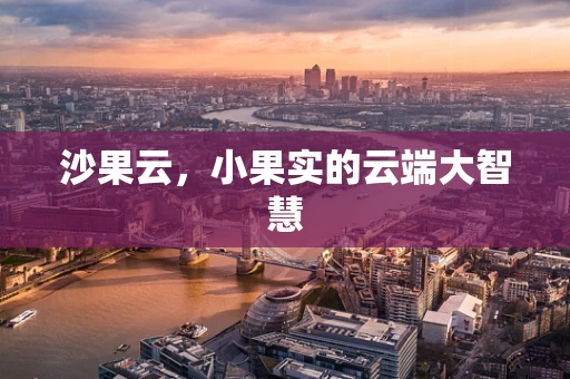 沙果云，小果实的云端大智慧