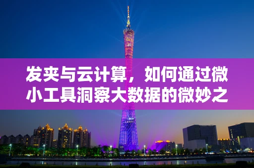 发夹与云计算，如何通过微小工具洞察大数据的微妙之处？