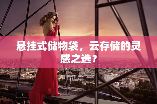 悬挂式储物袋，云存储的灵感之选？