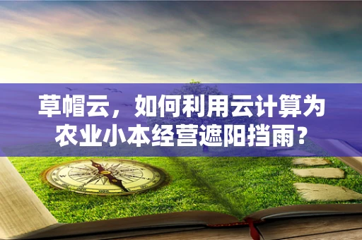 草帽云，如何利用云计算为农业小本经营遮阳挡雨？