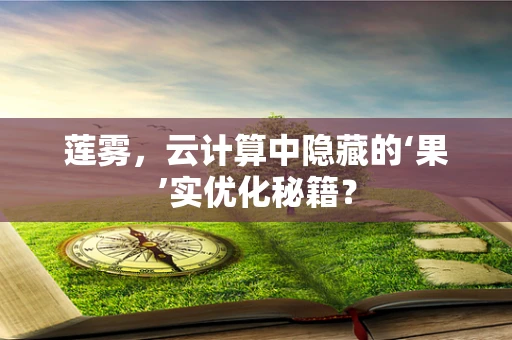莲雾，云计算中隐藏的‘果’实优化秘籍？