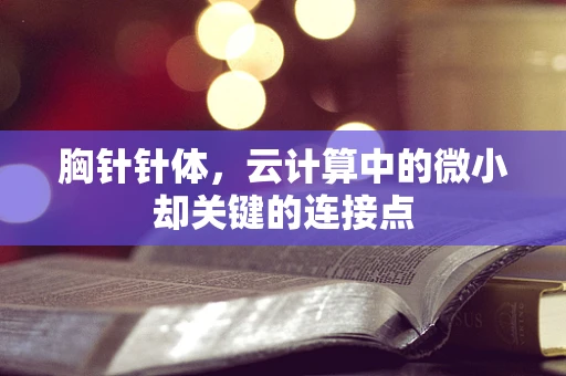 胸针针体，云计算中的微小却关键的连接点