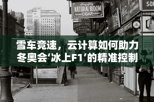 雪车竞速，云计算如何助力冬奥会‘冰上F1’的精准控制与安全保障？