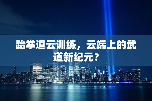 跆拳道云训练，云端上的武道新纪元？
