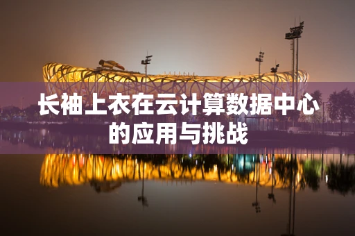 长袖上衣在云计算数据中心的应用与挑战