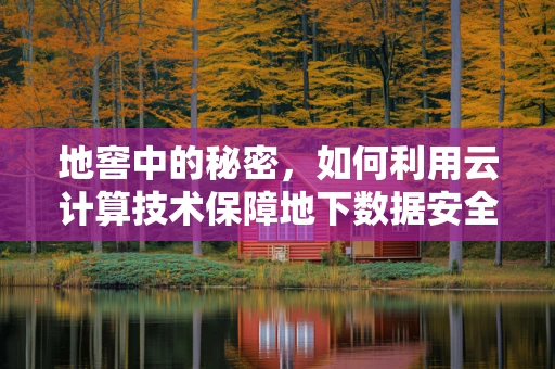 地窖中的秘密，如何利用云计算技术保障地下数据安全？
