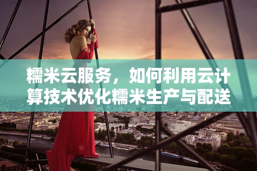 糯米云服务，如何利用云计算技术优化糯米生产与配送？