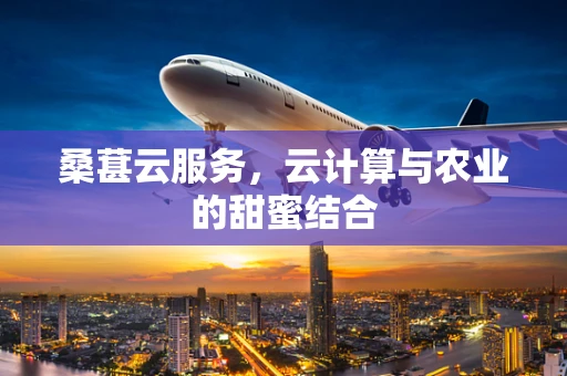 桑葚云服务，云计算与农业的甜蜜结合