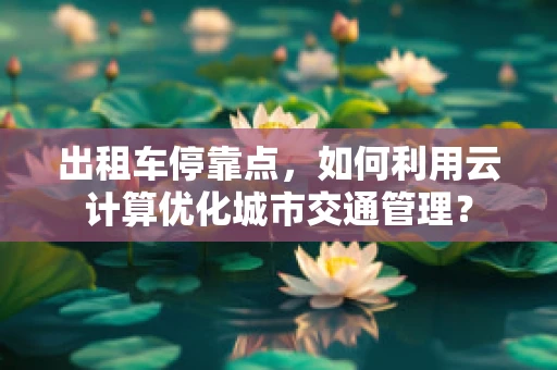 出租车停靠点，如何利用云计算优化城市交通管理？