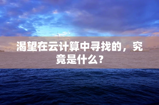 渴望在云计算中寻找的，究竟是什么？