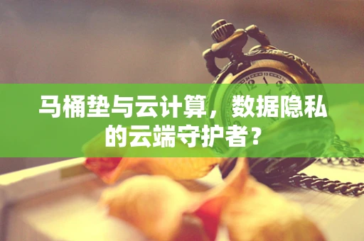 马桶垫与云计算，数据隐私的云端守护者？