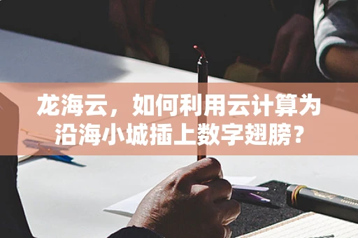 龙海云，如何利用云计算为沿海小城插上数字翅膀？