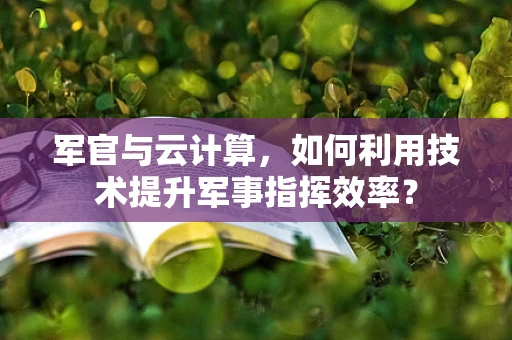 军官与云计算，如何利用技术提升军事指挥效率？