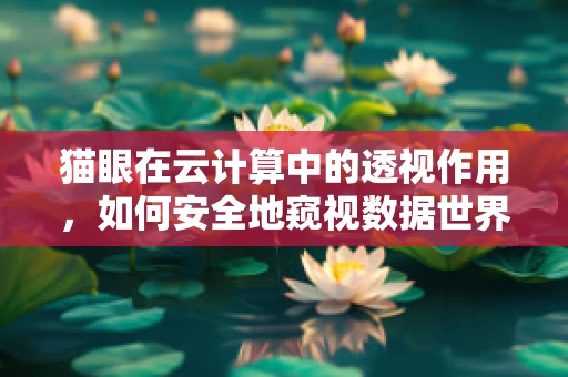 猫眼在云计算中的透视作用，如何安全地窥视数据世界？