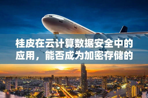 桂皮在云计算数据安全中的应用，能否成为加密存储的天然‘盾牌’？