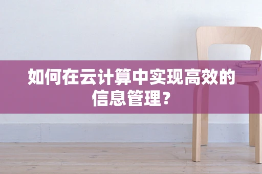 如何在云计算中实现高效的信息管理？