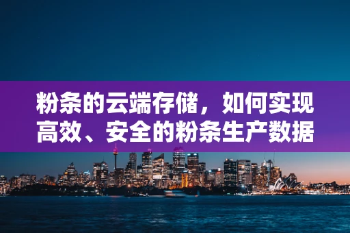粉条的云端存储，如何实现高效、安全的粉条生产数据管理？