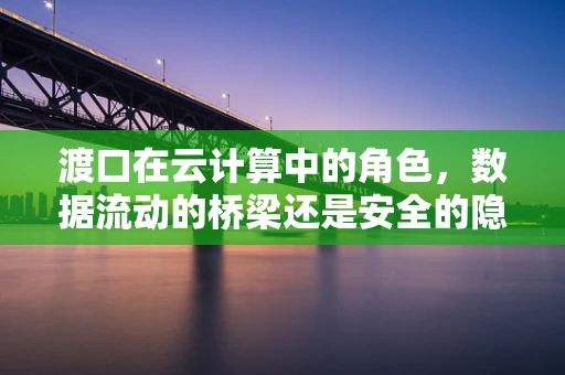 渡口在云计算中的角色，数据流动的桥梁还是安全的隐患？